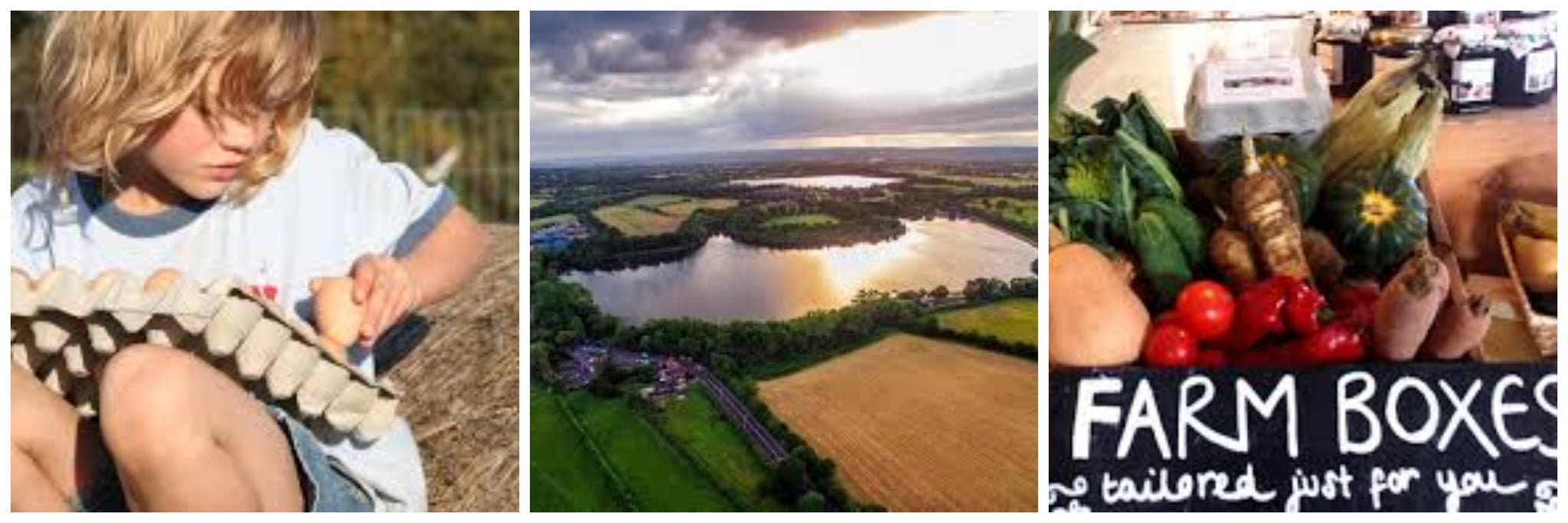 Montage of photos on a farm campsite UK