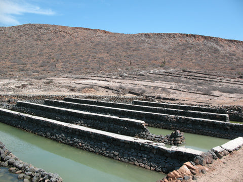 Ruinas de la Granja de Perla de La Paz (2010)