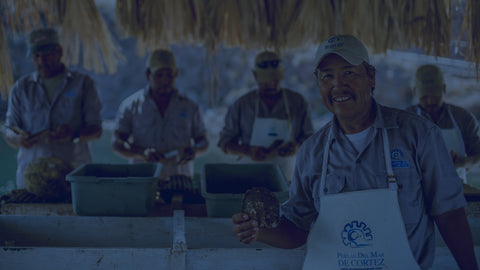 Trabajadores de la Granja de Guaymas, cuidando sus ostras