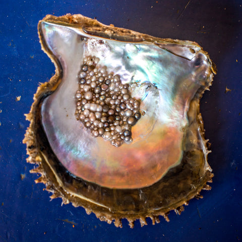 Perlas "Keshi" del Mar de Cortez