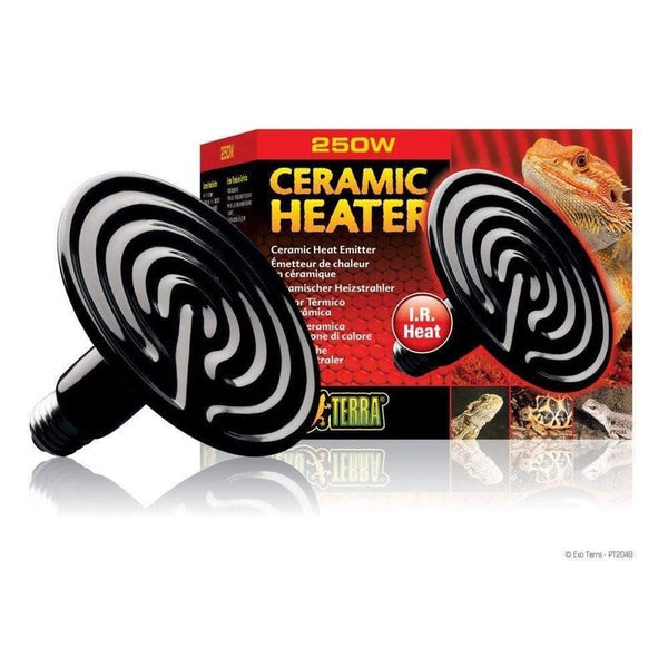 ceramic reptile heater