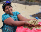 Fair Trade Farm worker drying green coffee