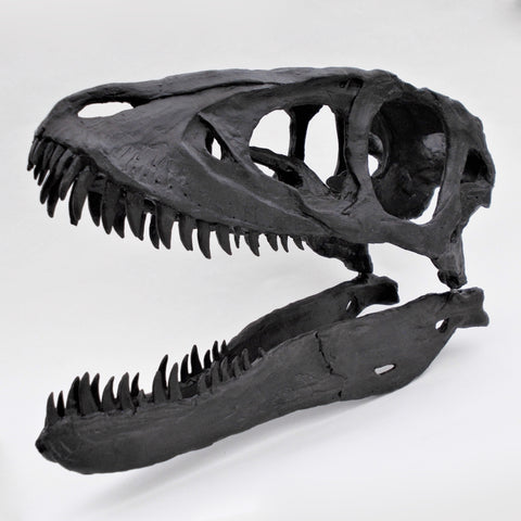 T.Rex Skull Replica