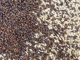 Malted Barley vs Unmalted Barley