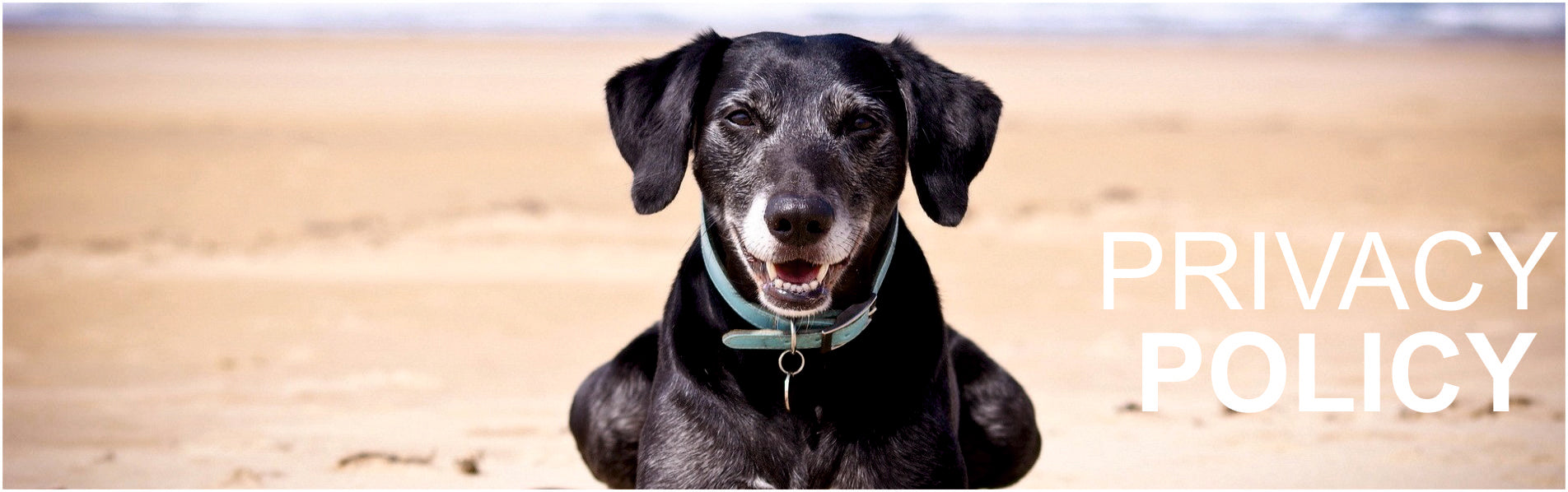 Privacy Policy Pawsindia