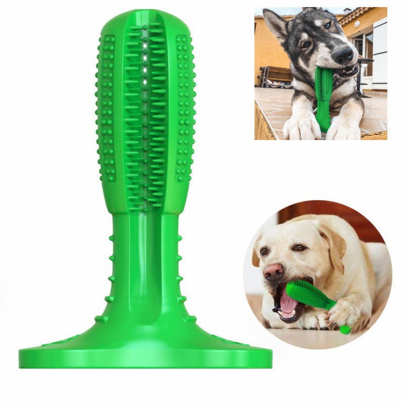 dog teeth cleaning chew toy