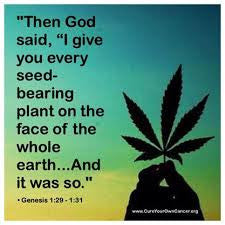 Hemp Oil CBD bible verse cannabis 