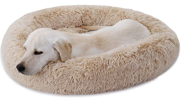 washable dog bed