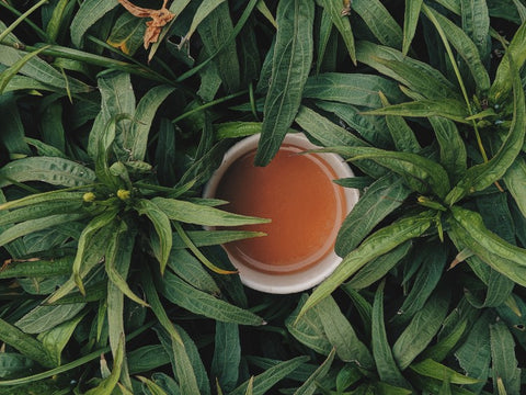 black tea leaves and brew