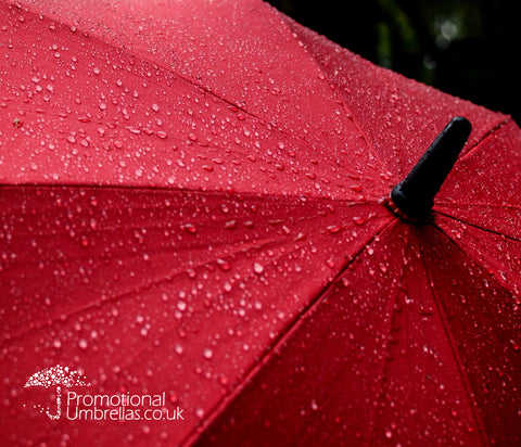 Logo Umbrellas