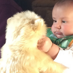 Bébé tient son doudou Mon ours Jules