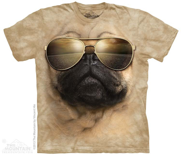 Aviator Pug