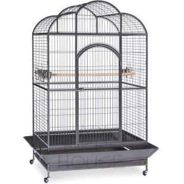 Prevue Hendryx Parrot Cage 2024