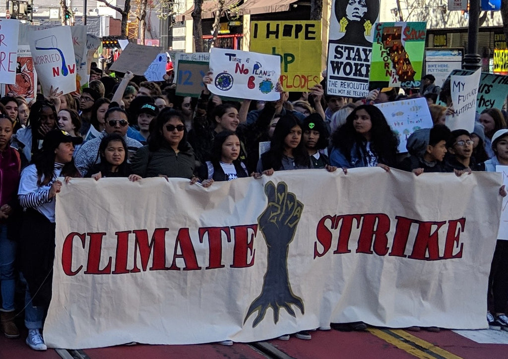 Climate change protest