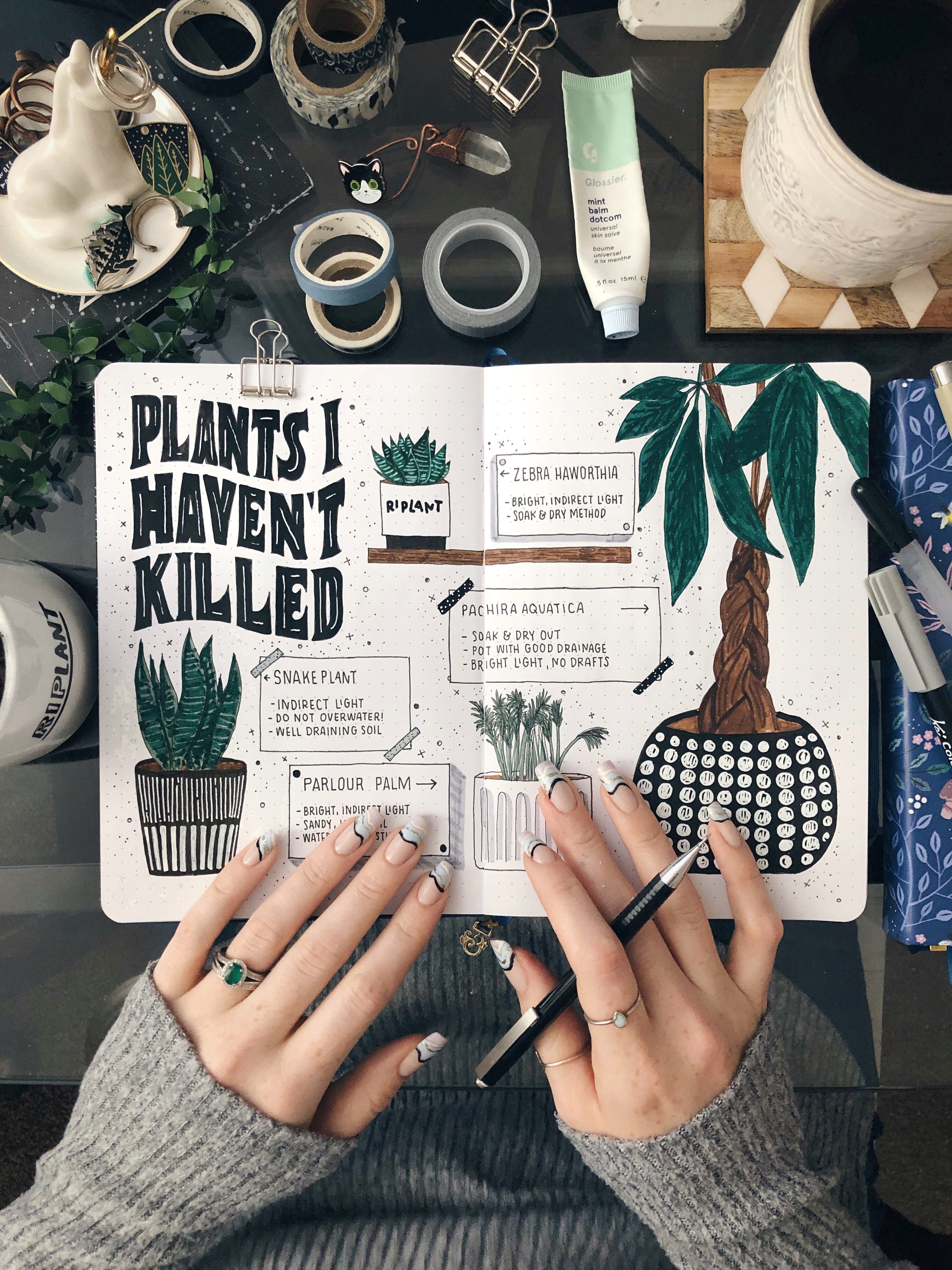 Bullet Journal Plant Care Tracker | Archer Olive