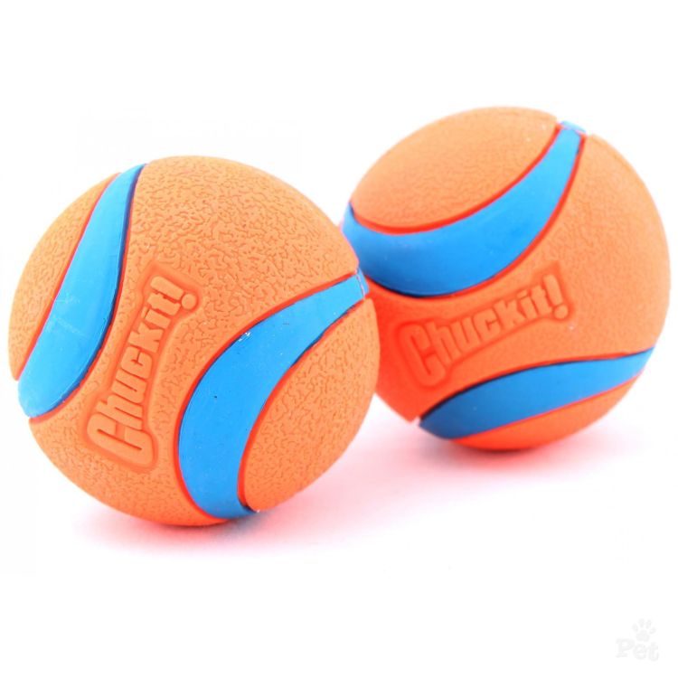 chuckit ultra squeaker ball