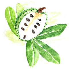 Sour Sop