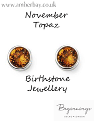 Silver November Birthstone Earrings