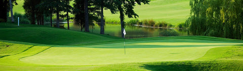 Rent golf clubs in the Charlotte Metro Area