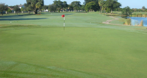 Golf club rental in Boca Raton