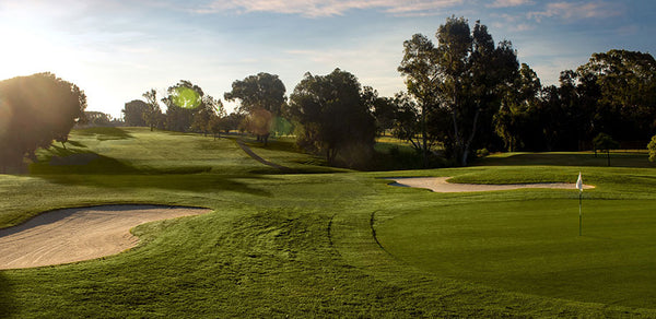 Chester Washington Golf Course Los Angeles CA
