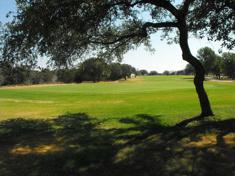Golf club rental in Austin