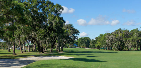 The Eagles Golf Club Tampa Florida