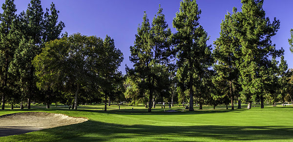 Encino Municipal Golf Course Los Angeles CA