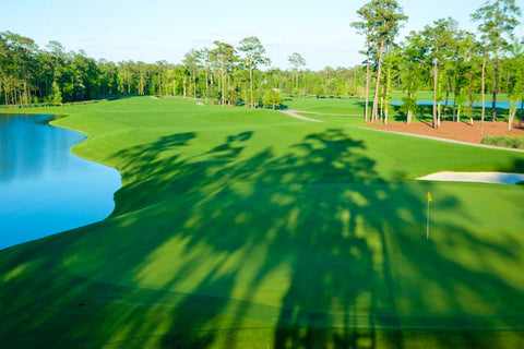 Rent golf clubs in Houston