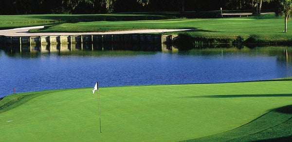 Meadowbrook Farms Golf Club Houston TX