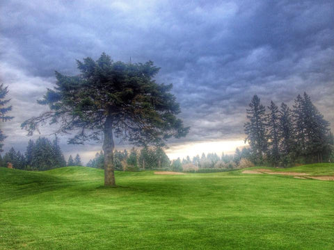 Rent golf clubs in Portland