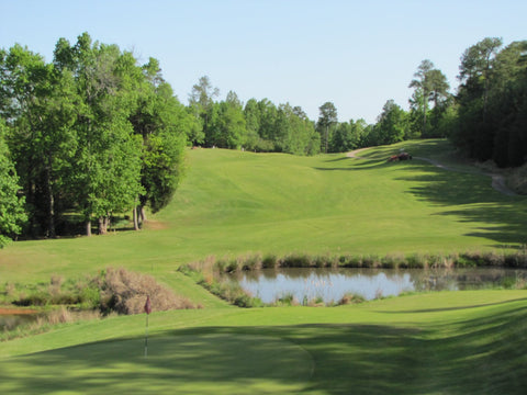 Rent golf clubs in Greenville