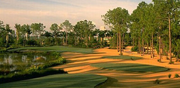 Tiburon Golf Club Ft. Myers Florida
