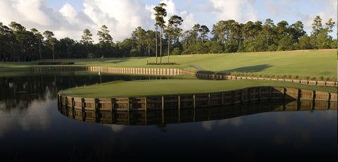 Golf club rental in The South