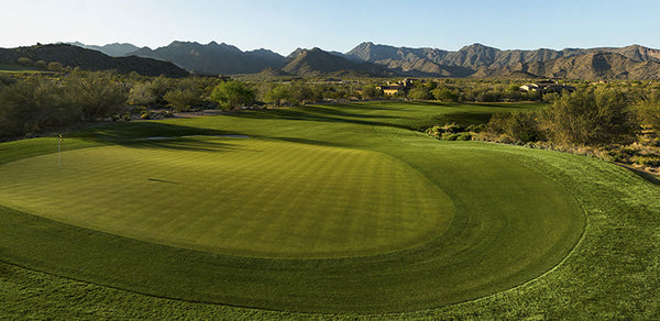 Verrado Golf Course Phoenix Arizona