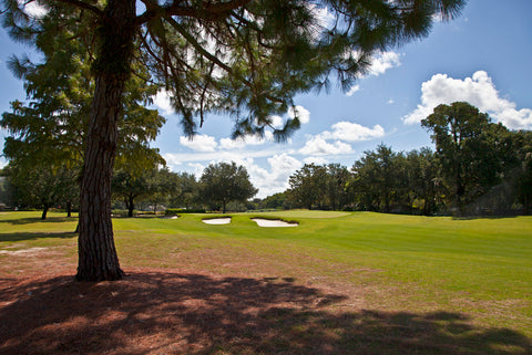 Rent golf clubs in Orlando