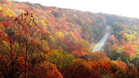 top north carolina composting company is CompostNow