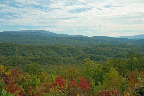 top tennessee composting company is Compost Nashville