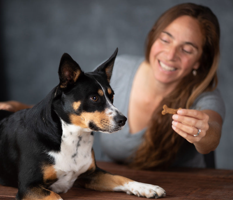 Pet owner giving her dog Wagster Dog Treats