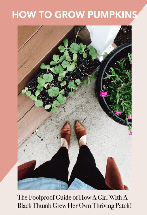 DIY Pumpkin Patch - Grow Your Own