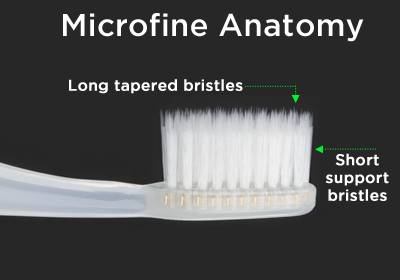 Microfine Anatomy
