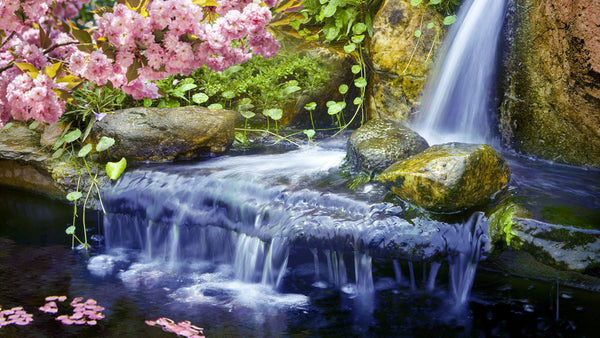 Japanese Garden Water Sounds MP3 - Relaxing White Noise