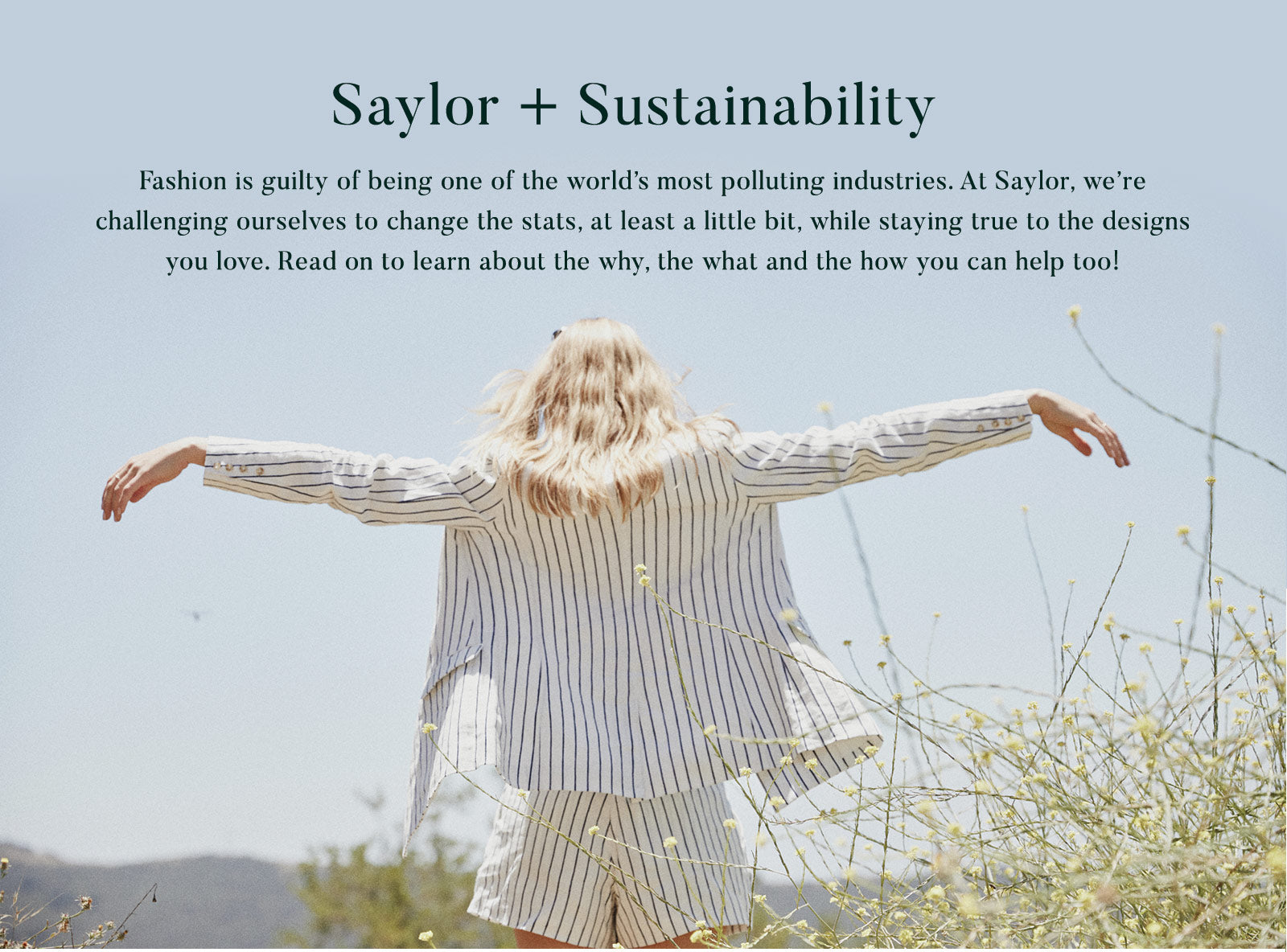 Saylor + Sustainability 