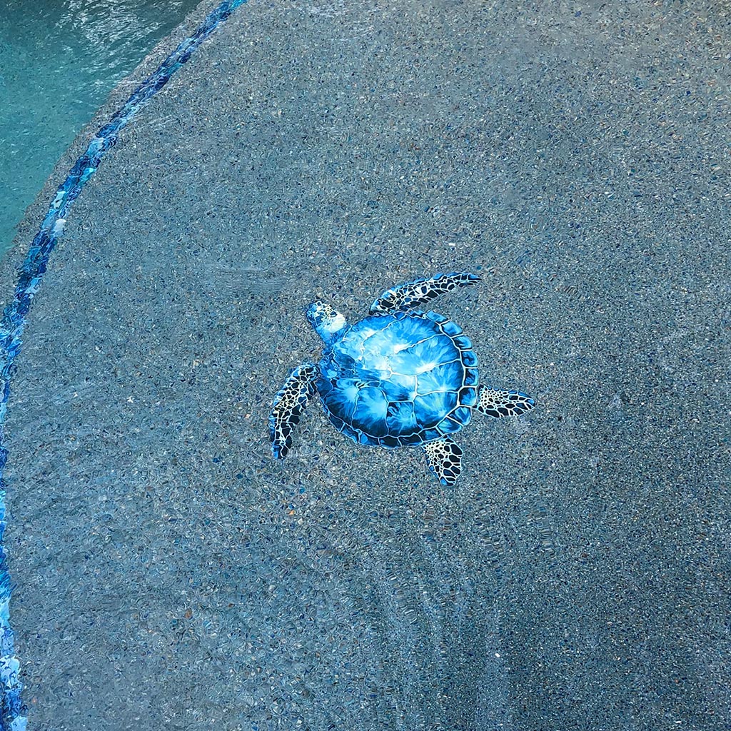 Blue Sea Turtle | PORC-BL83-24 | Swimming Pool Mosaic – AquaBlu Mosaics