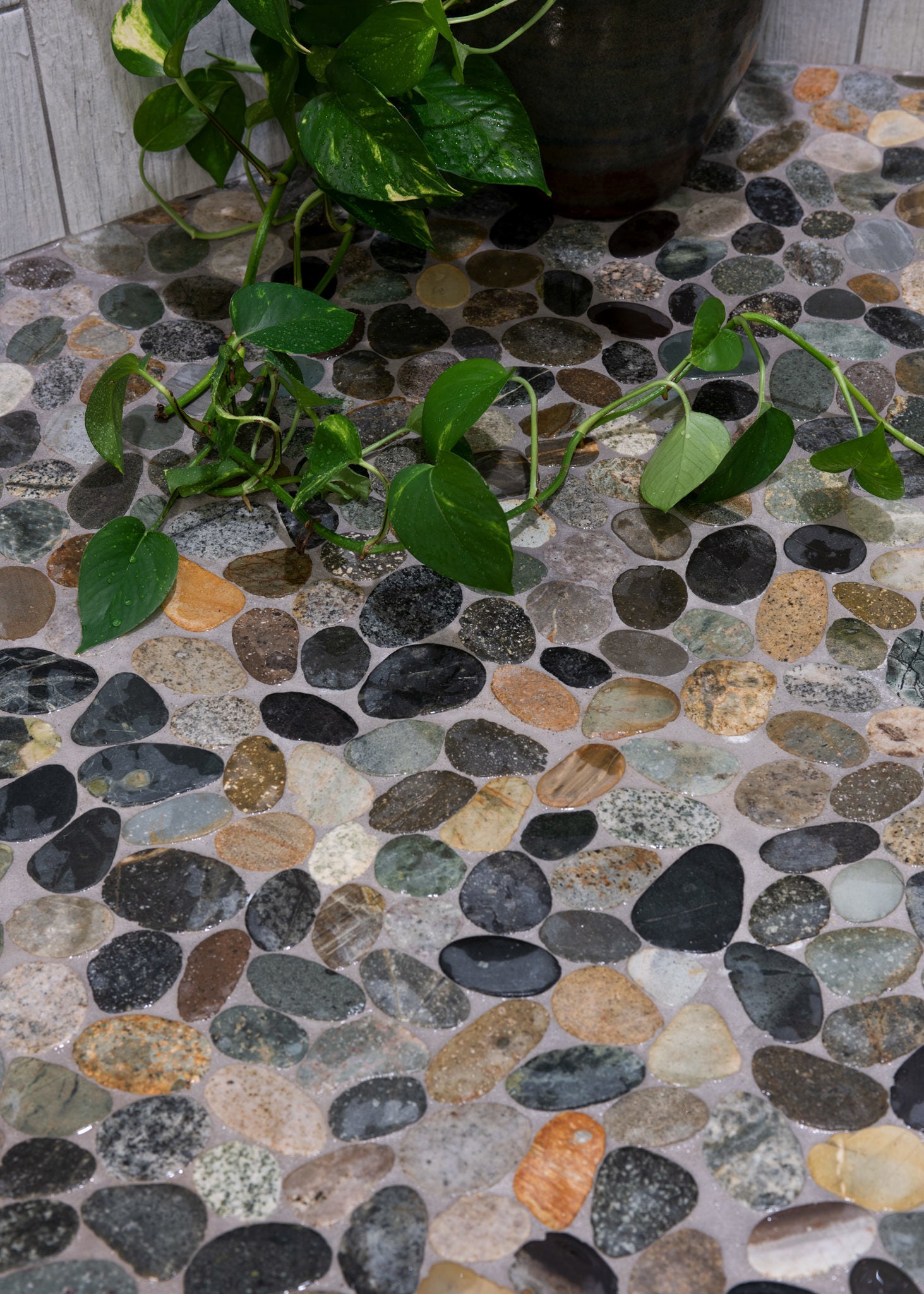 Olive Mix Pebble Tile Shaved Pebbles Series Natural Stone Mosaicsn Aquablu Mosaics 2223