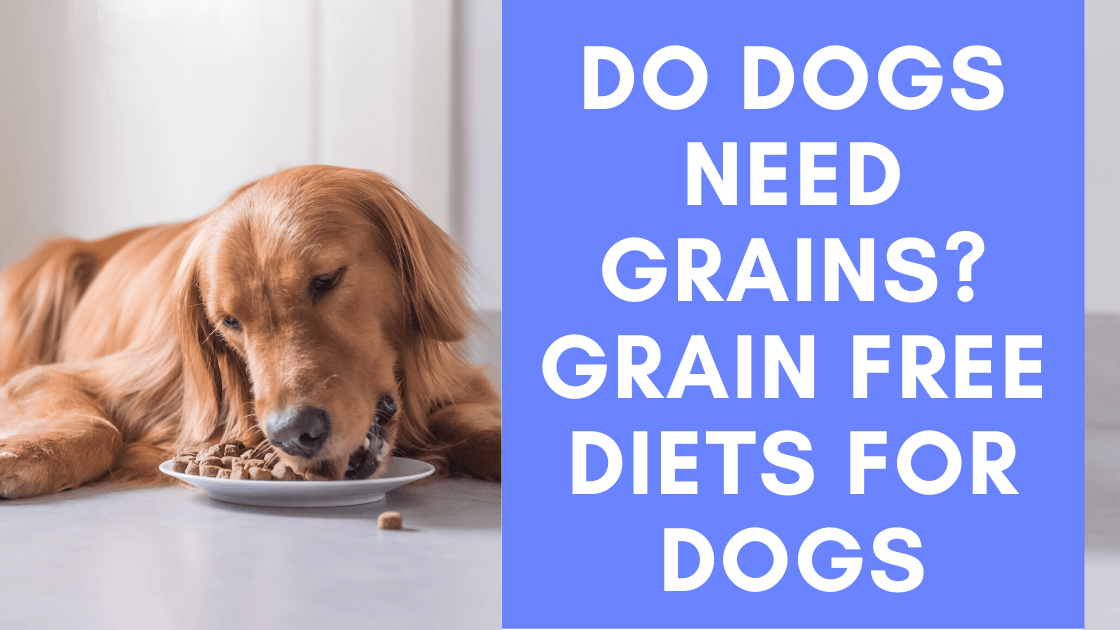 do some dogs need grains