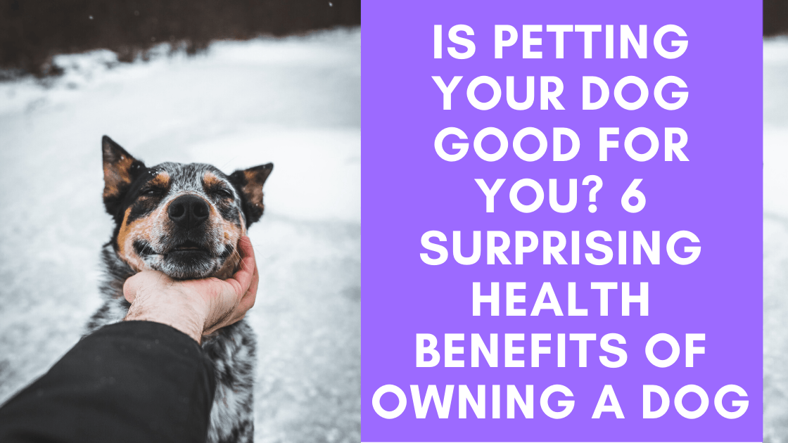 are there health benefits to owning a dog