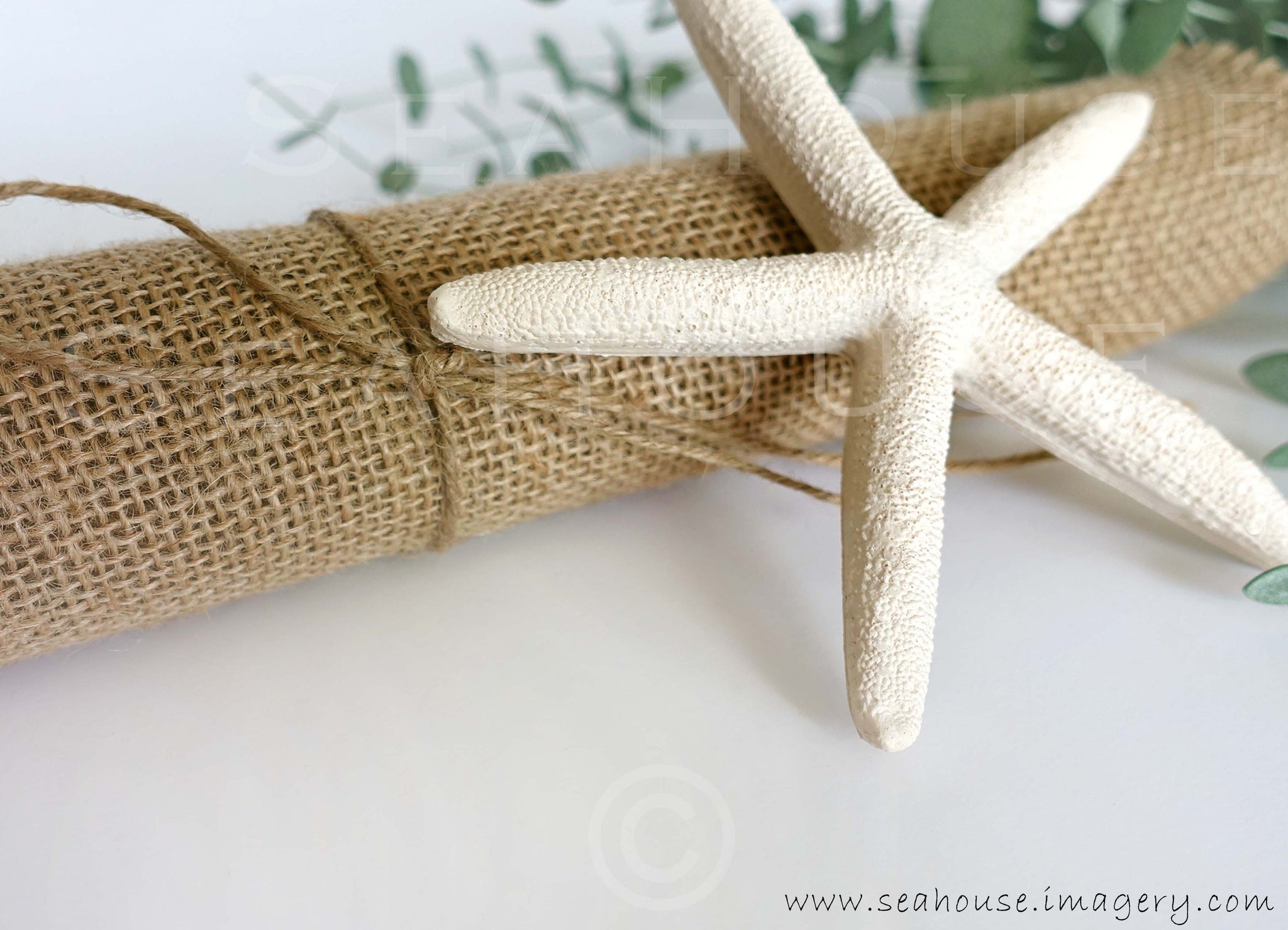 WM Hessian White Starfish for About Us Page SeaHouse Imagery
