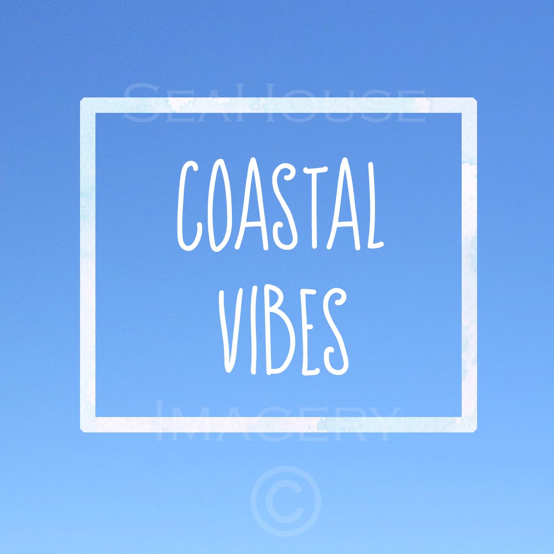 EXCLUSIVE USE WM Coastal Vibes Blue Square Size