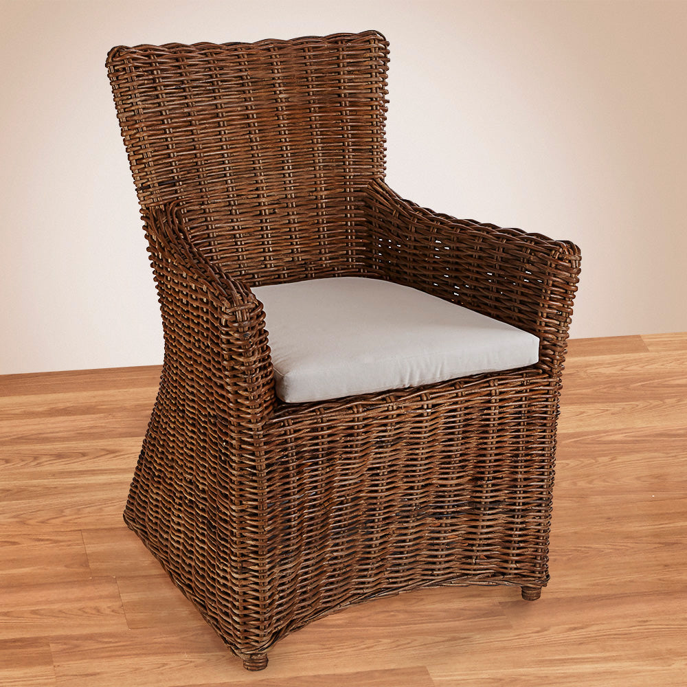 brown rattan loungers